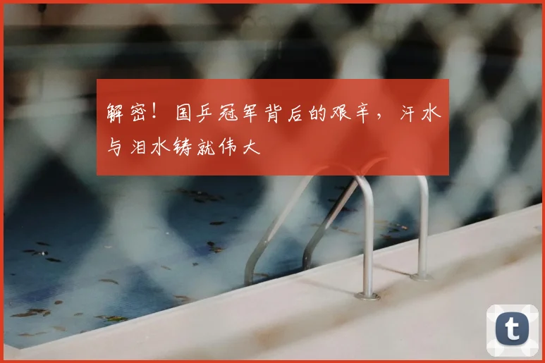 解密!国乒冠军背后的艰辛,汗水与泪水铸就伟大