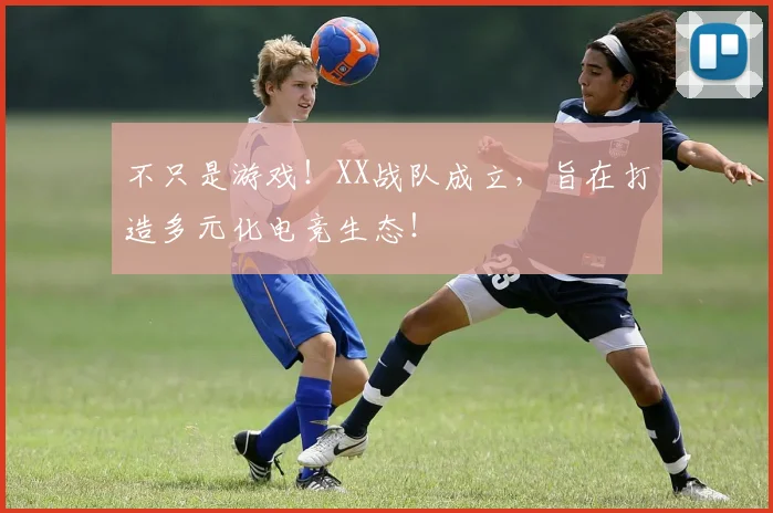 不只是游戏!XX战队成立,旨在打造多元化电竞生态!